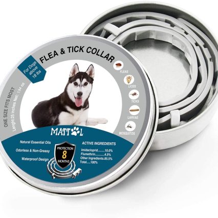 Mattol Dog Collar - Collar de prevención