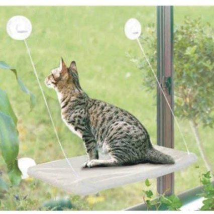Cama para gatos con ventosa