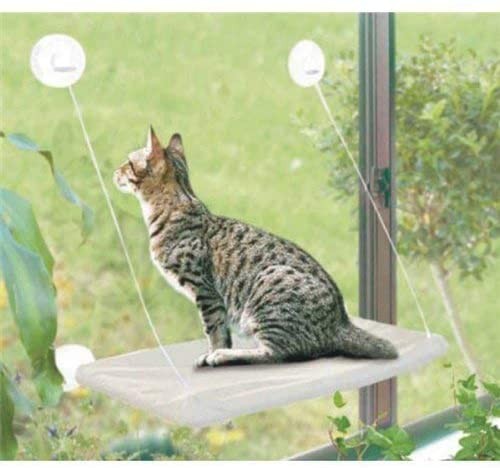 Cama para gatos con ventosa