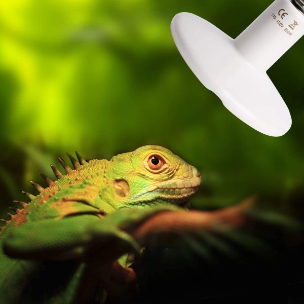 Lámpara de calor de cerámica para reptiles