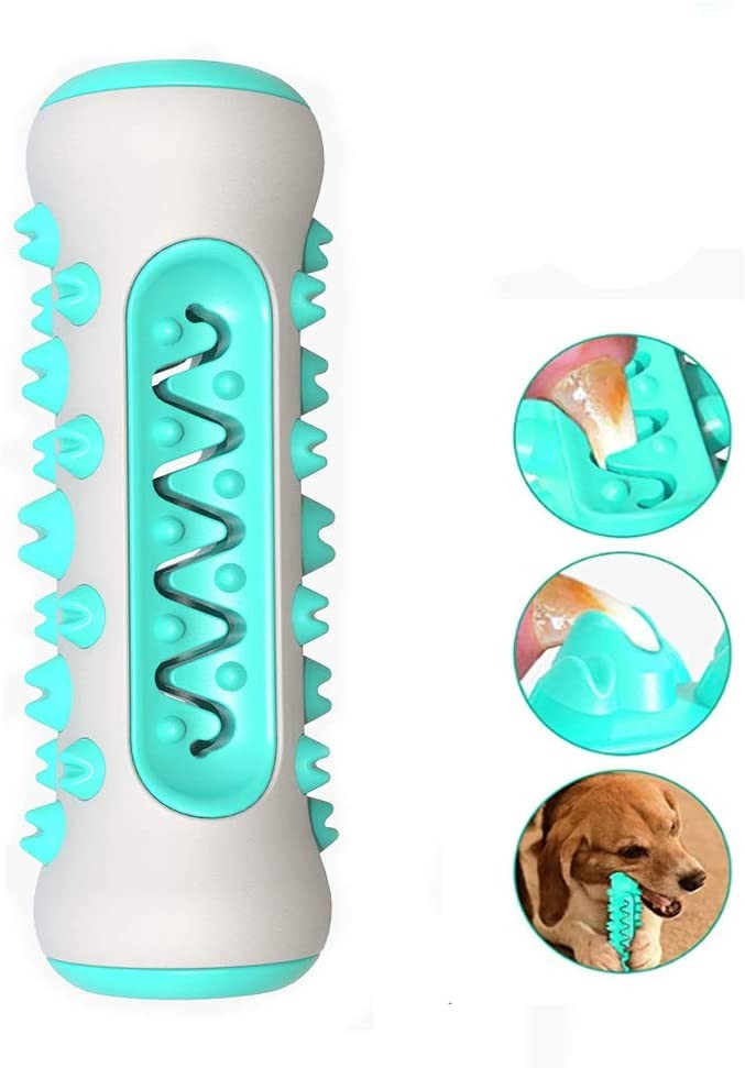 dog toothbrush bone toy