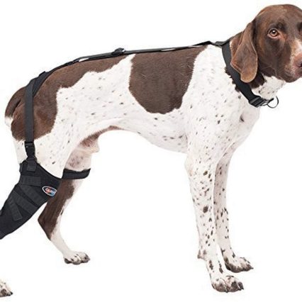 Caldera Pet Therapy Short Stifle Wrap con gel M