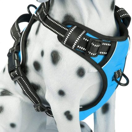 BARKBAY Arnés para perro L
