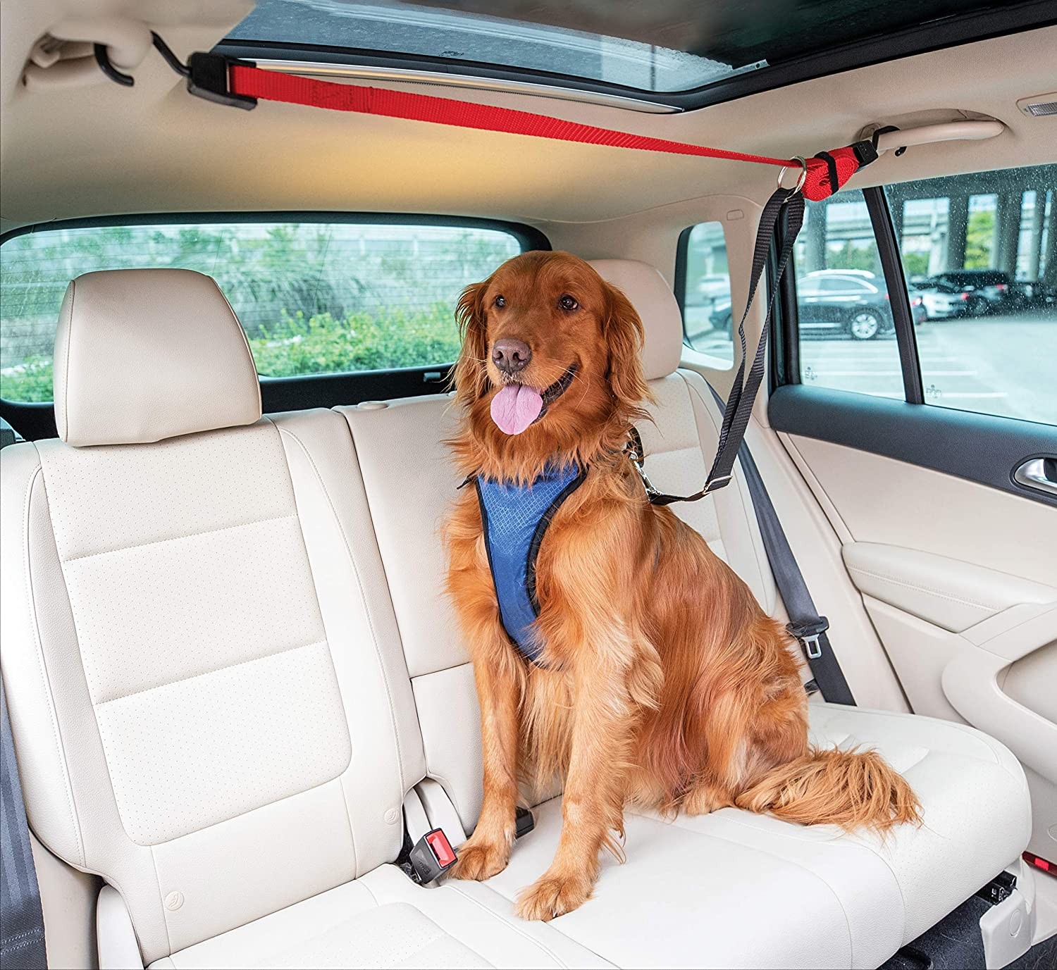 PetSafe Dog Zipline