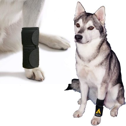 Dog Front Legs Wrap