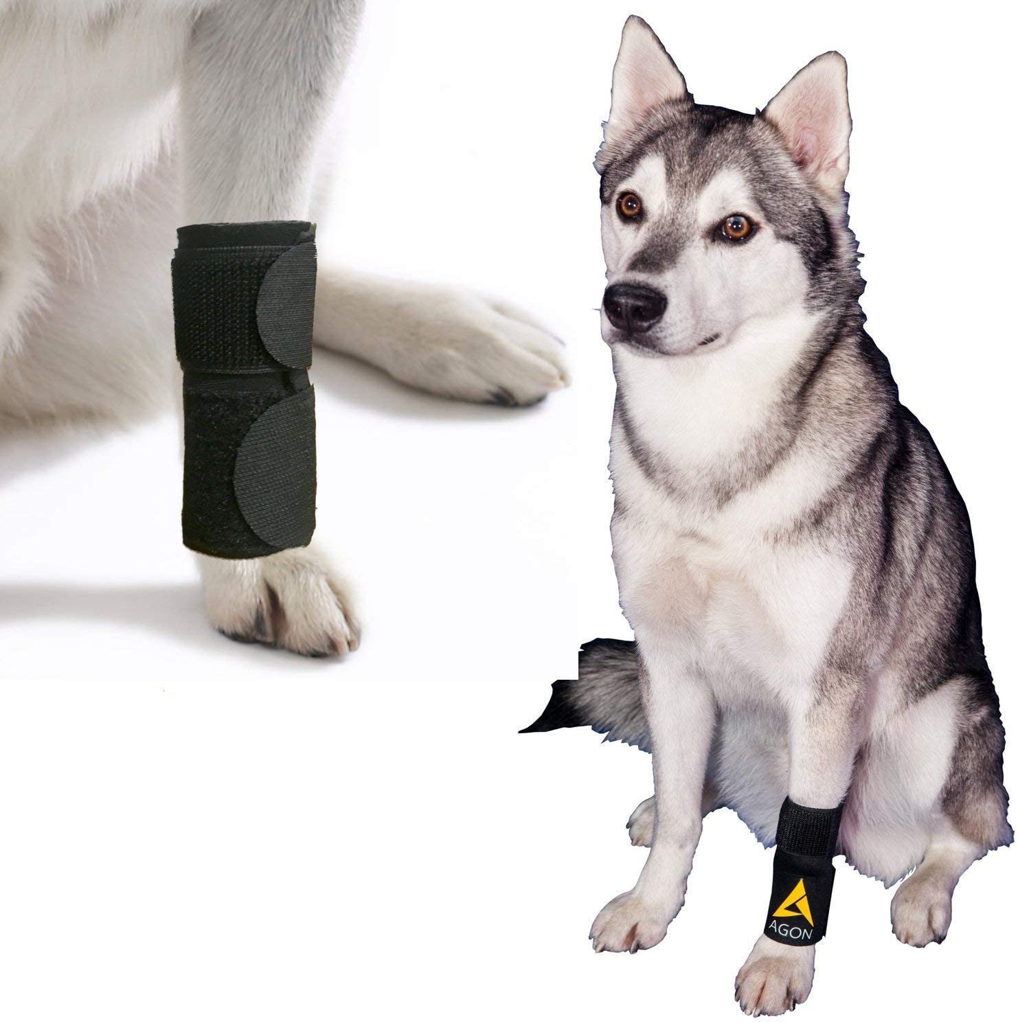 Dog Front Legs Wrap