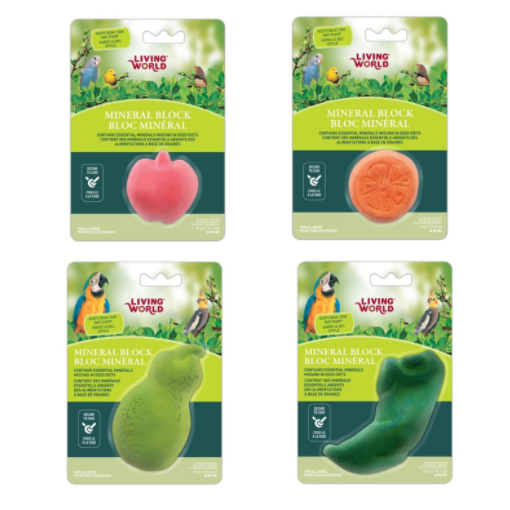 BLOCK MINERAL CON FORMAS DE FRUTAS LIVING WORLD