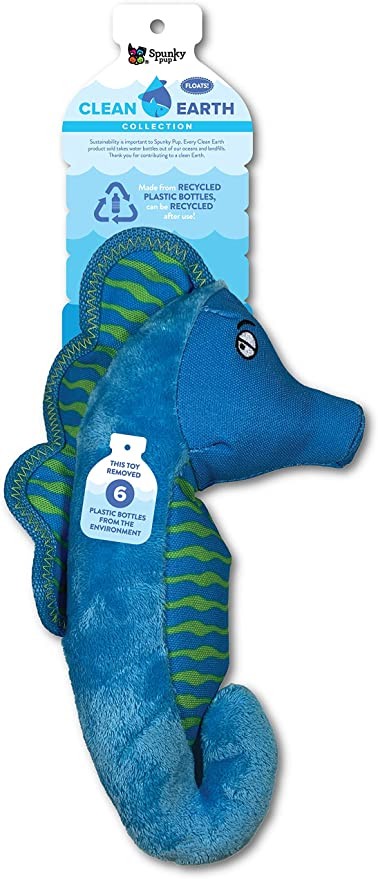 Spunky clean earth caballito del mar S