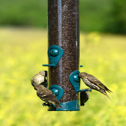 Comedero Mixto para Aves Perky Pet