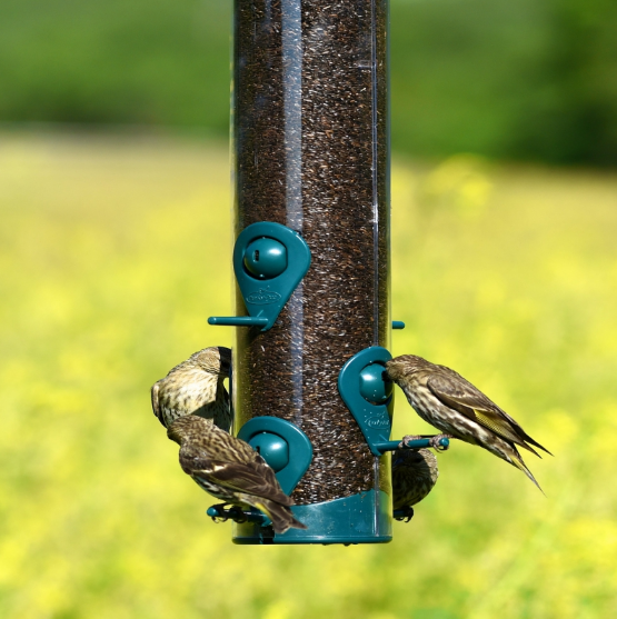 Comedero Mixto para Aves Perky Pet