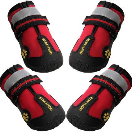 Botas impermeables para perros