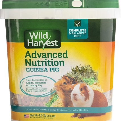 Alimento para conejillo de indias Wild Harvest 4.5 Lb