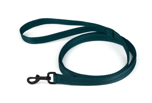 Correa Verde - Dogline