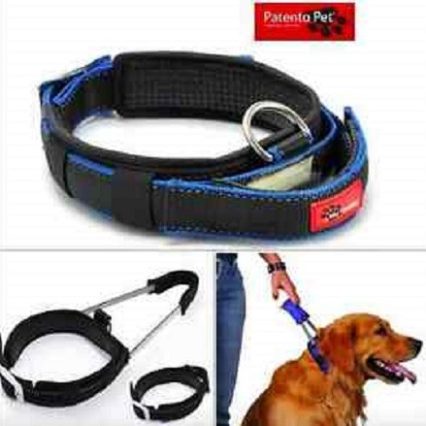 Collar con correa integrada PATENTO PET