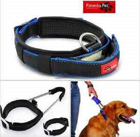 Collar con correa integrada PATENTO PET
