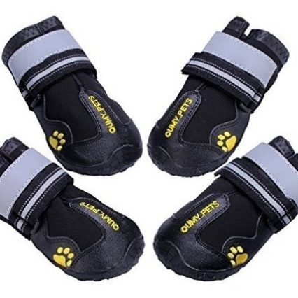 botas para perro