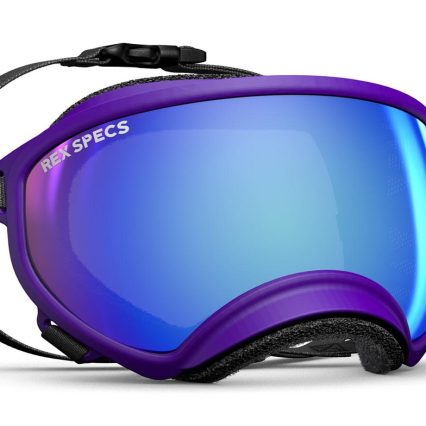 Lentes Rex Specs Small