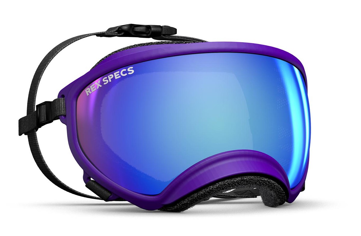 Lentes Rex Specs Small