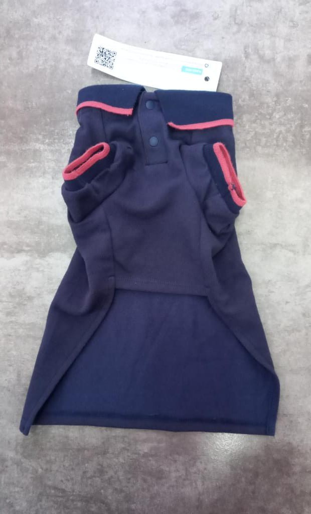 Camisa Azul con Rosa