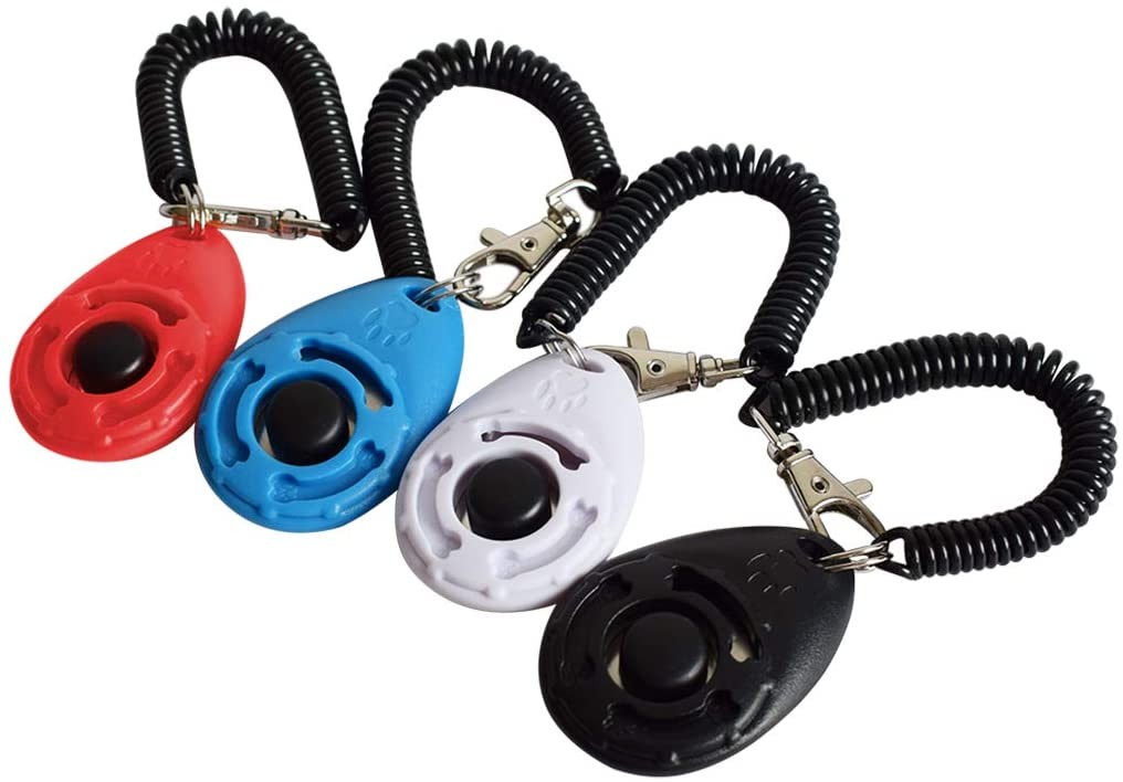 Clicker Training