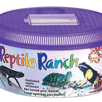 Corral Ventilado para Reptiles