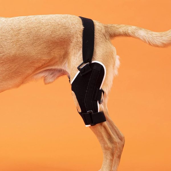Poveo Rodillera para perro con Spilint y Rastreador de rótula