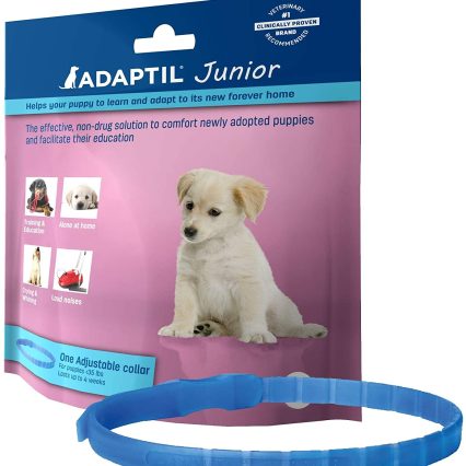 Adaptil Junior