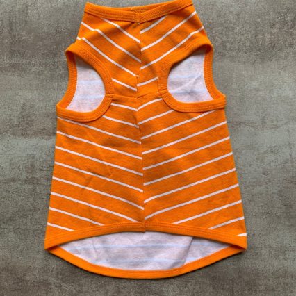 Camiseta Calabaza