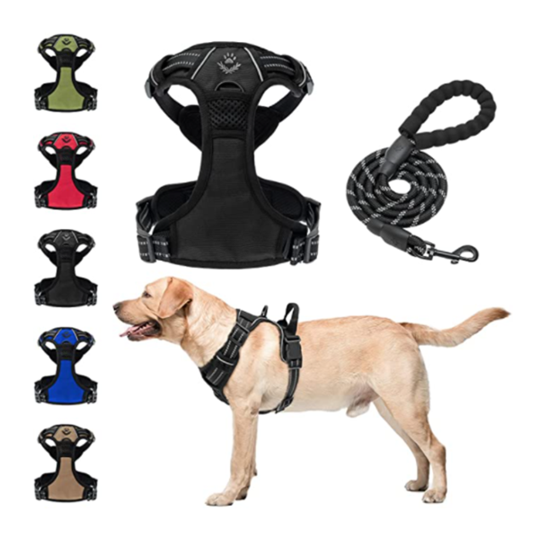 SCENEREAL Juego de arnés y correa para perro Talla L Negro