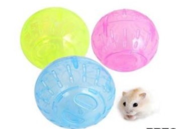 Bola para Hamster