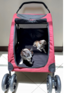 Coche Pet Carts Rojo 110 Lb