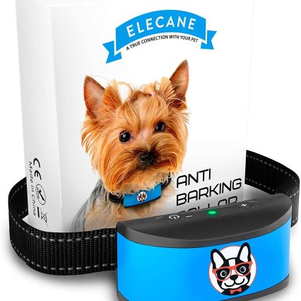 Collar antiladridos para perros pequeños
