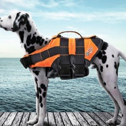 Chaleco salvavidas VIDA DE PERRO para: natación, piscina, playa, barco