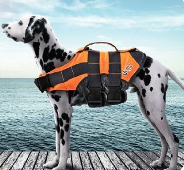 Chaleco salvavidas VIDA DE PERRO para: natación, piscina, playa, barco