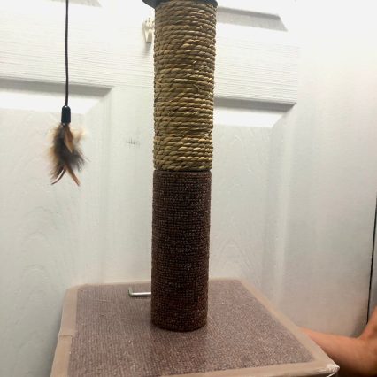 Rascador con pluma