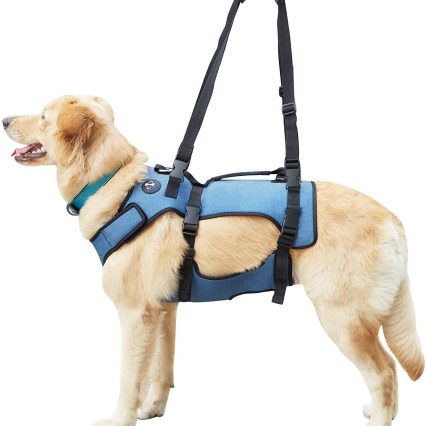 Coodeo Arnés de elevación de perro XL
