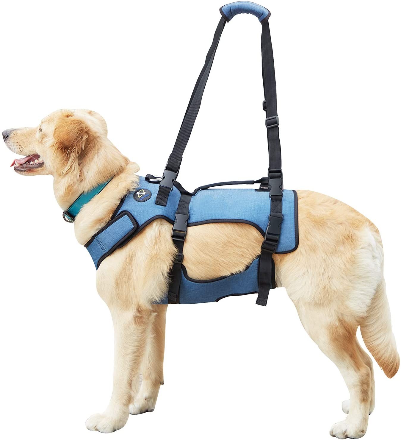 Coodeo Arnés de elevación de perro XL