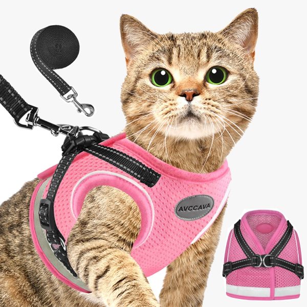 AVCCAVA Pechera y Correa para Gato XS Rosado