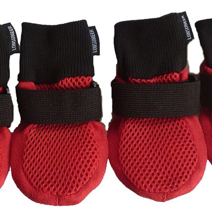 Botas para perro XL
