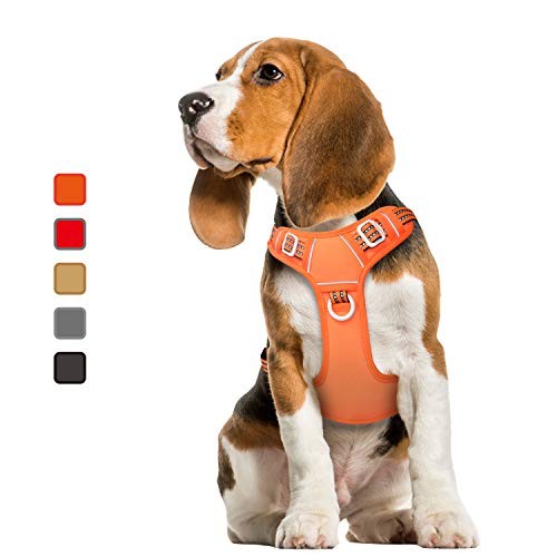 ATOPARK Pechera Anti Tirones M Naranja