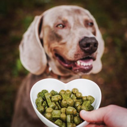 Natural Pets Helados de Tripa Verde 8 unidades