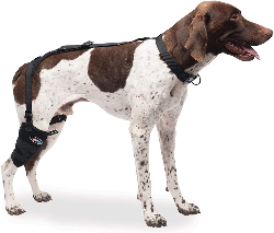 Soporte Caldera Pet Therapy M