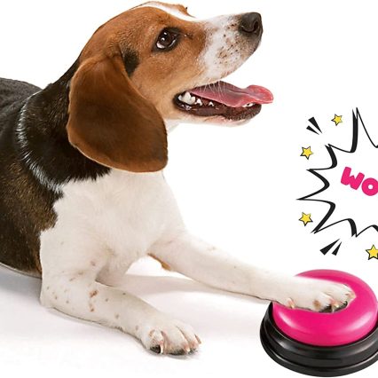 Boton de Entrenamiento Answer Buzzers