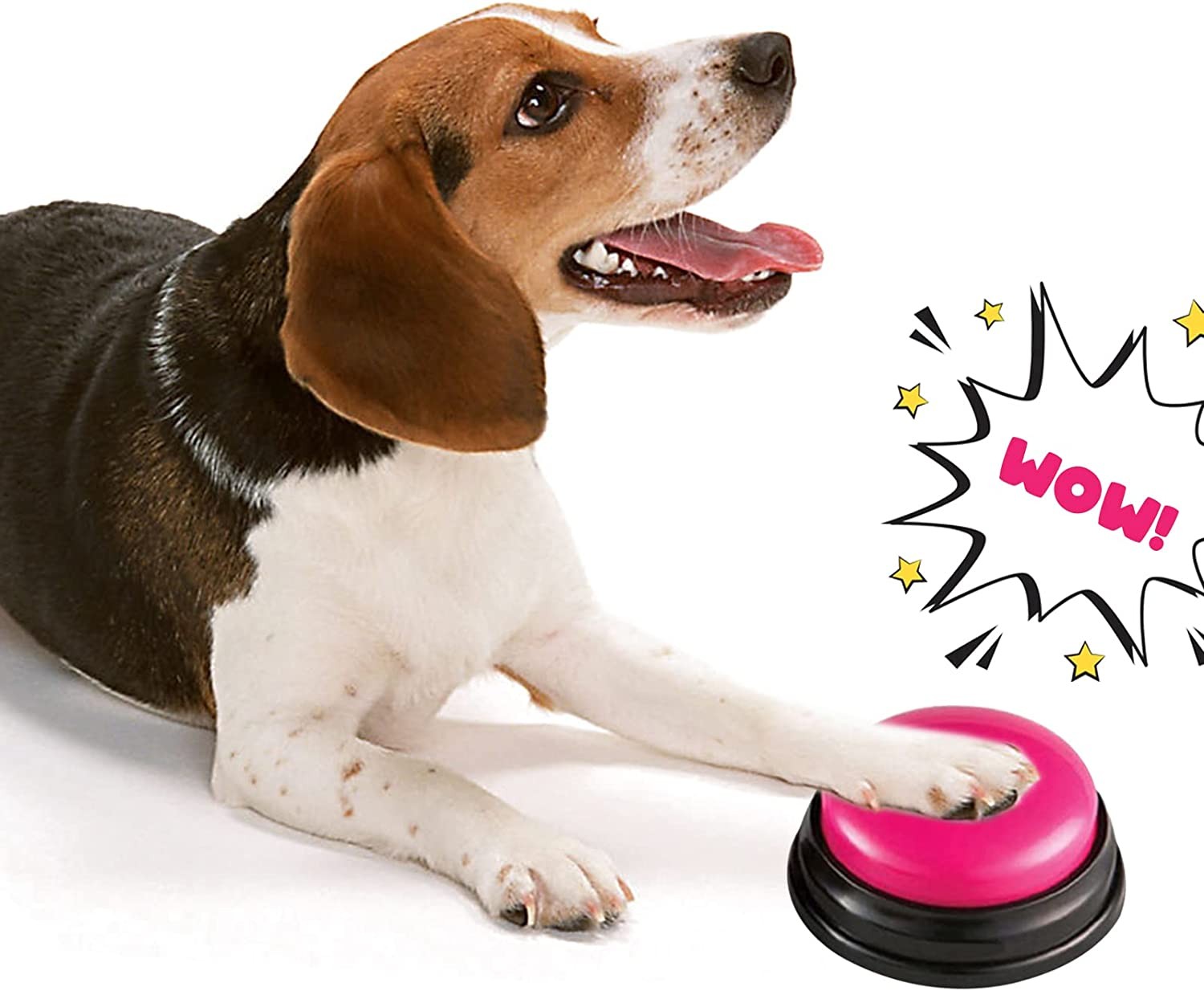 Boton de Entrenamiento Answer Buzzers