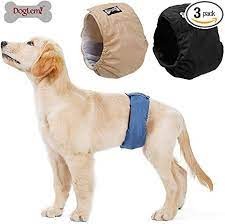 Pañal de Tela para Macho Doglemi