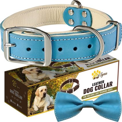 Collar de perro de cuero acolchado