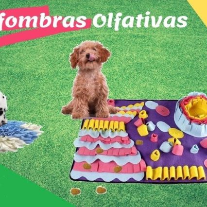 Alfombrilla de entrenamiento para perros