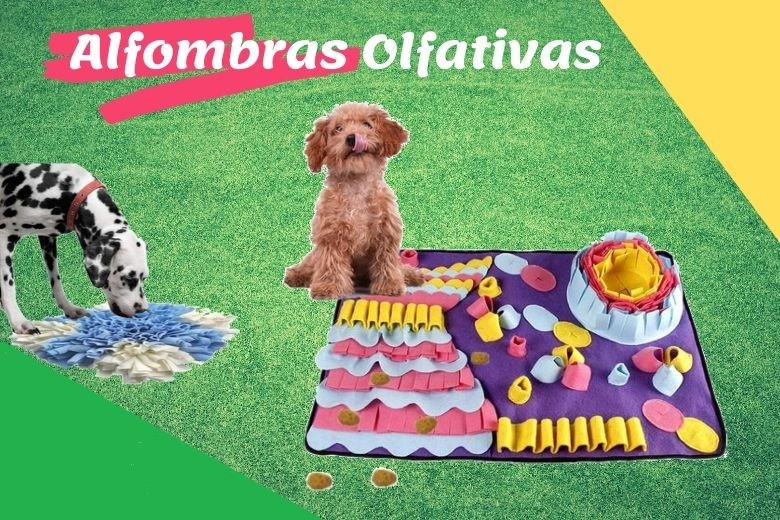 Alfombrilla de entrenamiento para perros