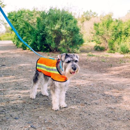 Chaleco reflectante de malla para mascotas