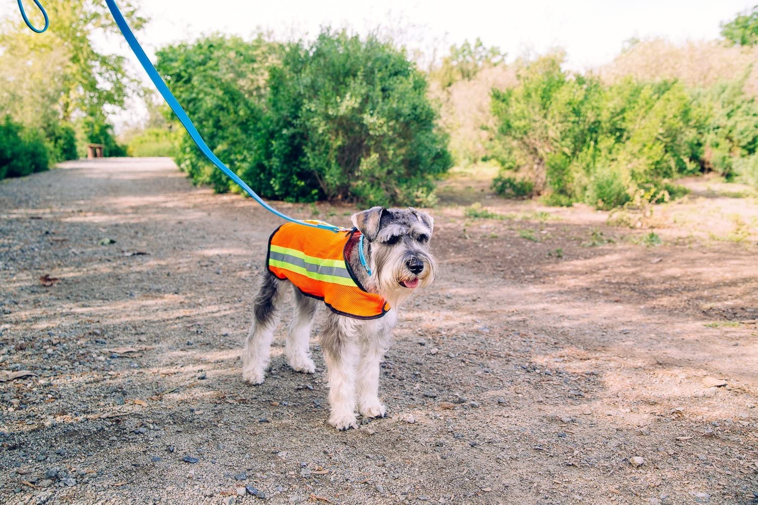 Chaleco reflectante de malla para mascotas